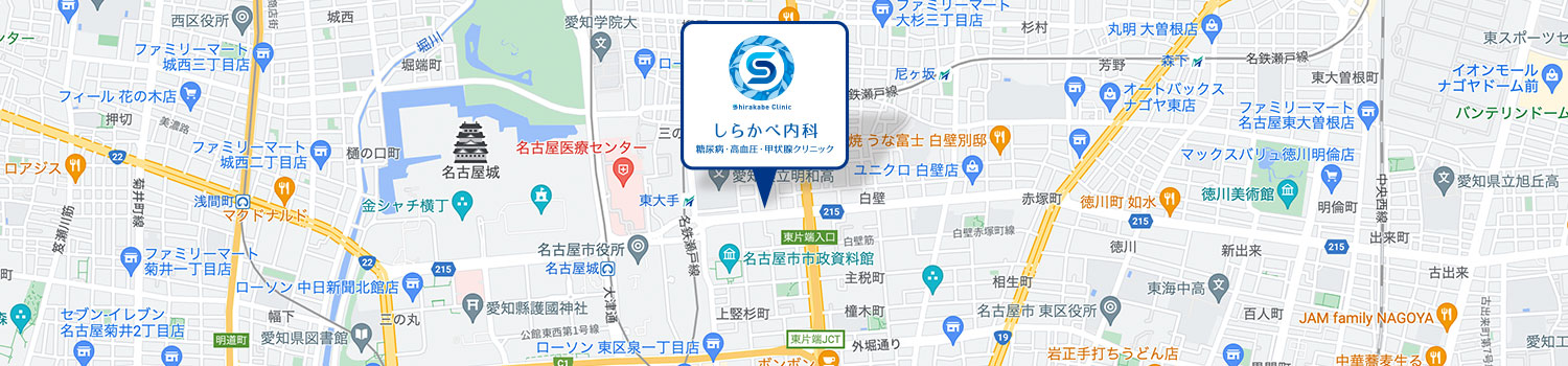 Google 地図